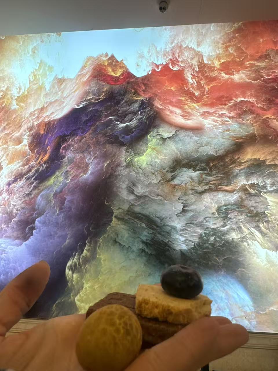 新生记万网数联封面14